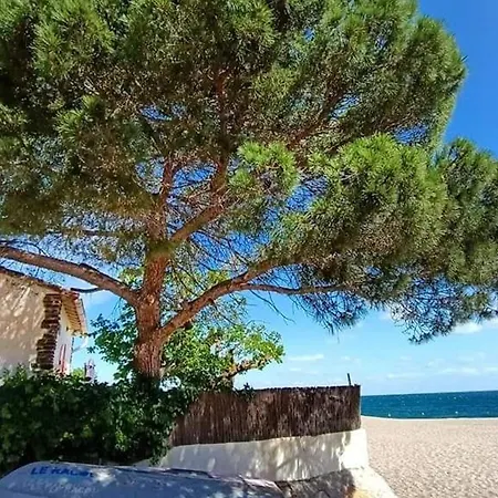 Apartamento 5 Pers Avec Jardin A - Fr-1-776-129